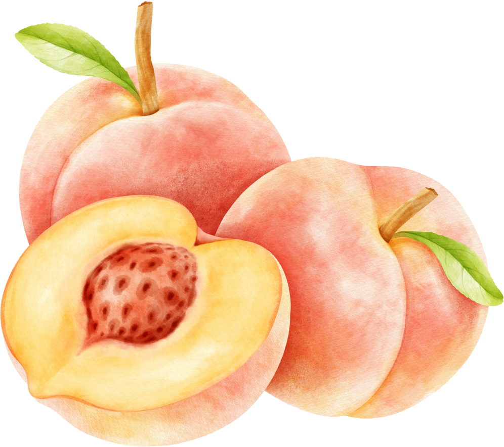 watercolor peach fruits